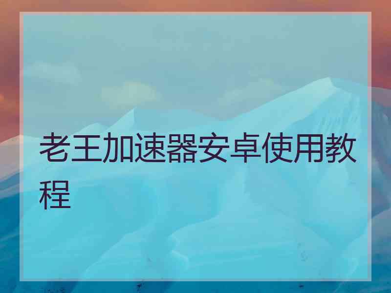 老王加速器安卓使用教程