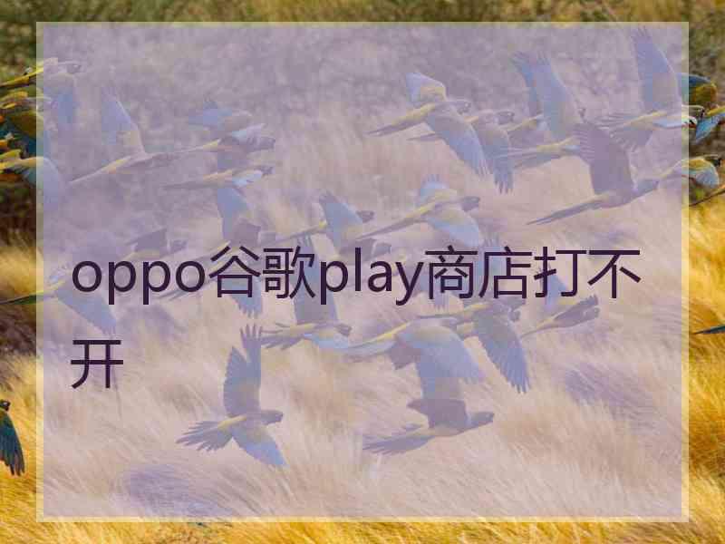 oppo谷歌play商店打不开