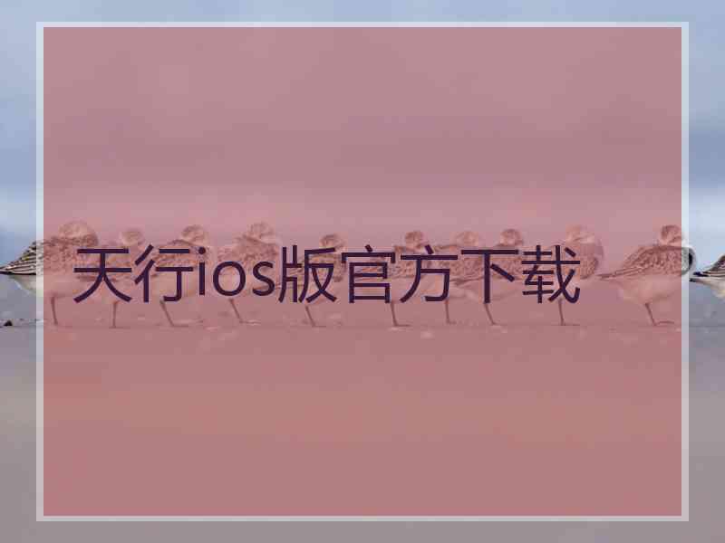 天行ios版官方下载