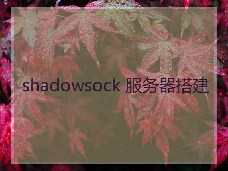 shadowsock 服务器搭建