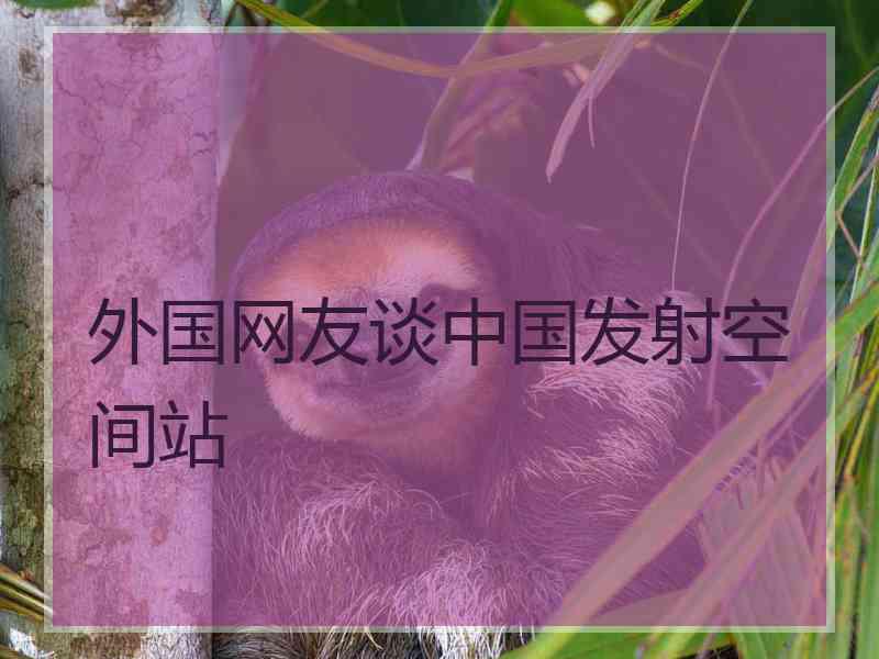 外国网友谈中国发射空间站