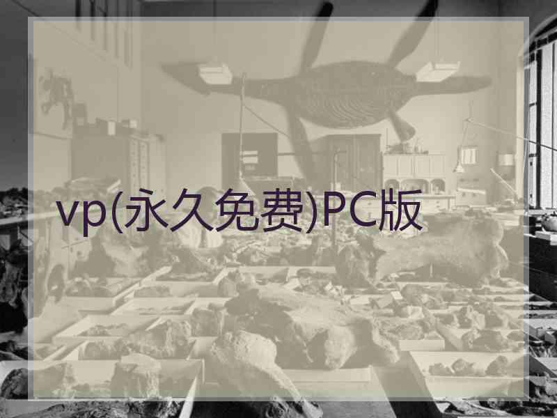 vp(永久免费)PC版