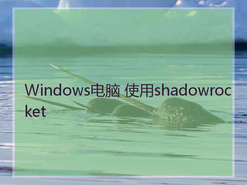 Windows电脑 使用shadowrocket