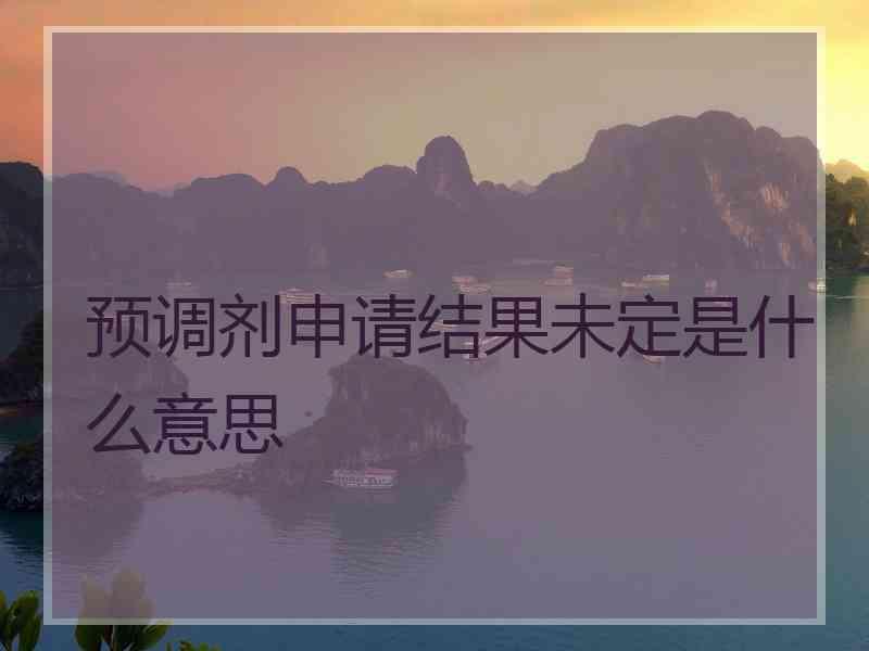 预调剂申请结果未定是什么意思