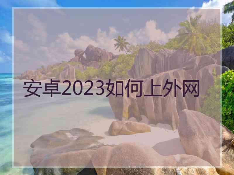 安卓2023如何上外网