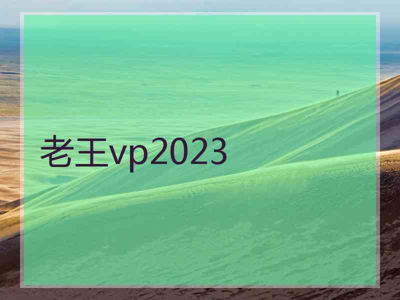 老王vp2023