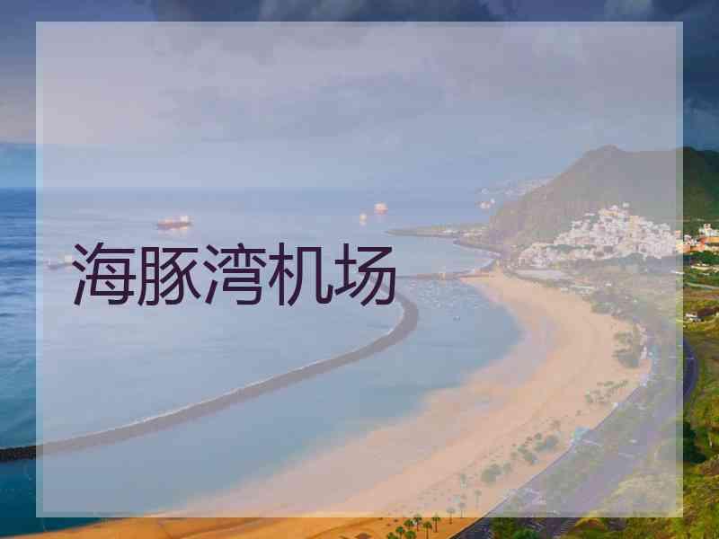 海豚湾机场