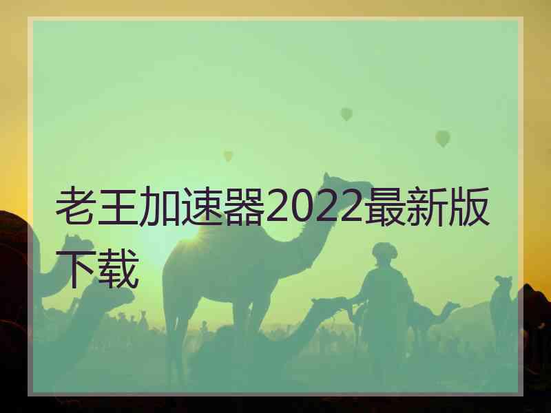 老王加速器2022最新版下载