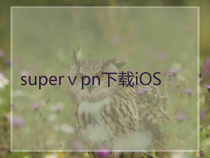 superⅴpn下载iOS