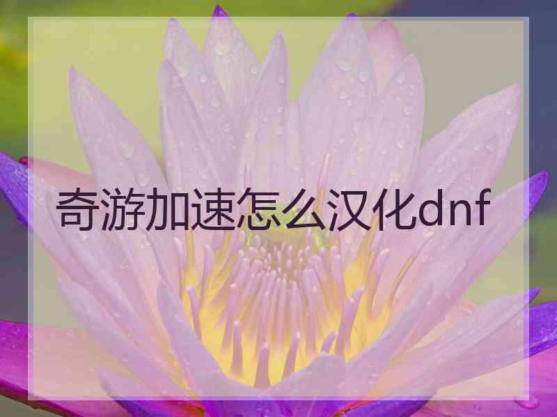 奇游加速怎么汉化dnf