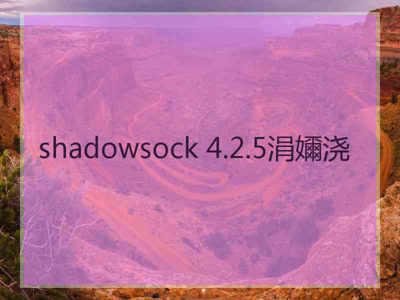 shadowsock 4.2.5涓嬭浇