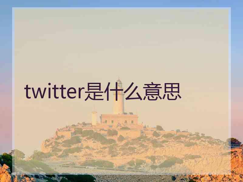 twitter是什么意思