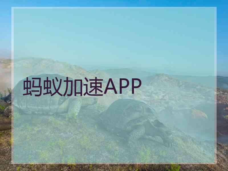 蚂蚁加速APP