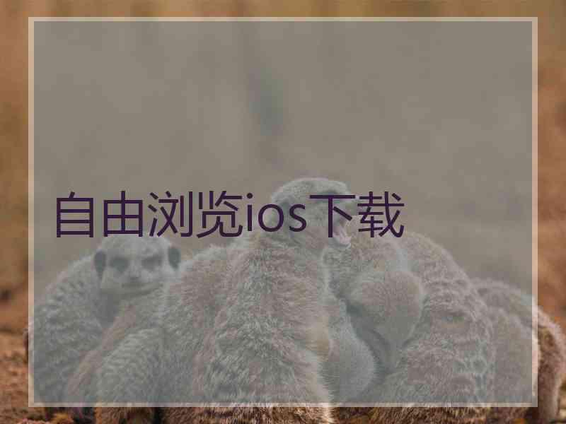 自由浏览ios下载