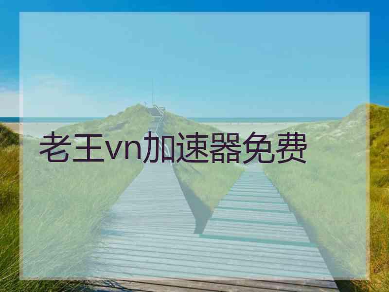 老王vn加速器免费