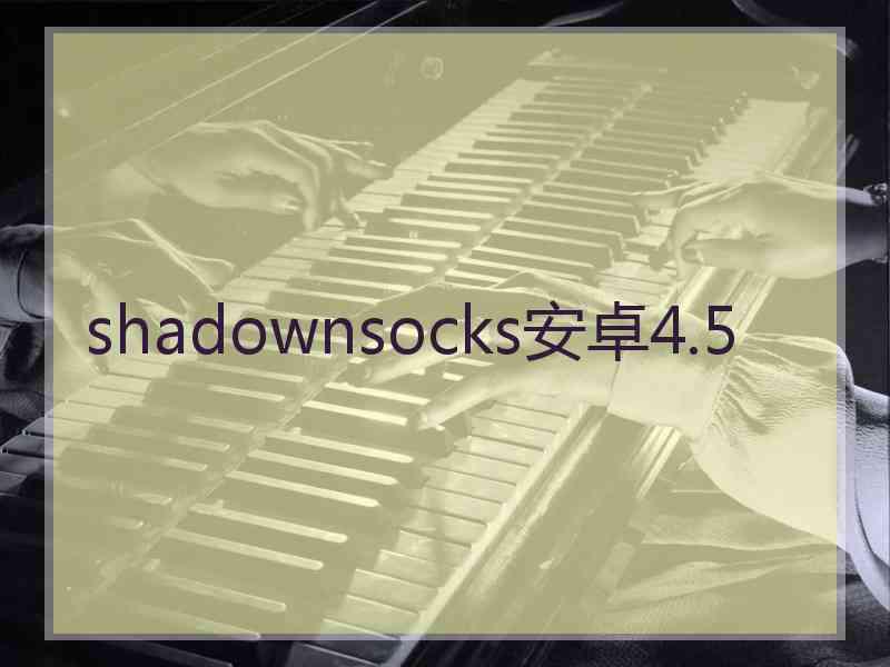 shadownsocks安卓4.5