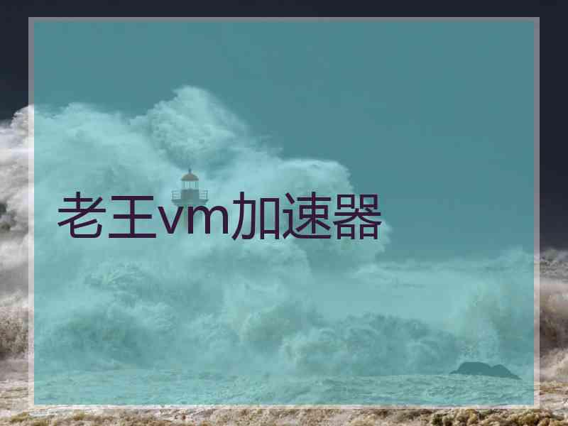 老王vm加速器