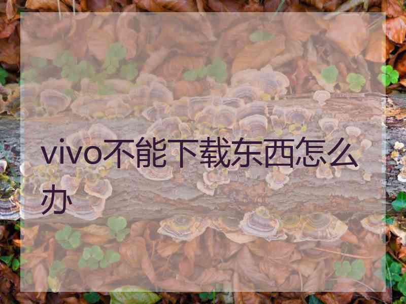 vivo不能下载东西怎么办