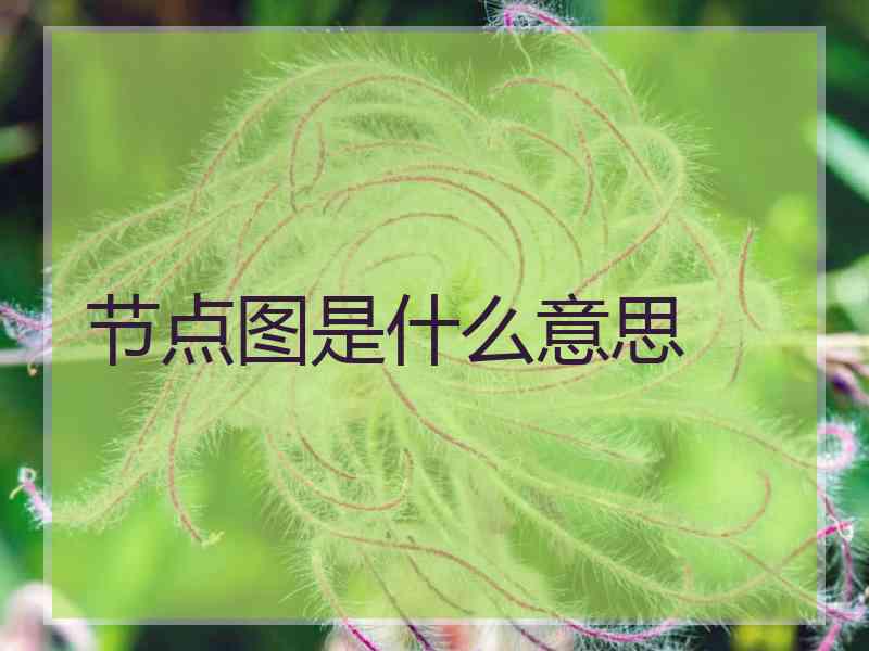 节点图是什么意思