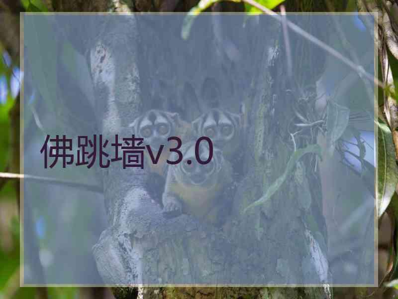 佛跳墙v3.0