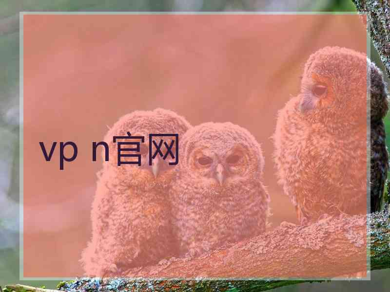 vp n官网