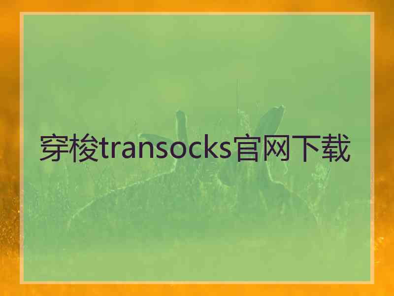 穿梭transocks官网下载