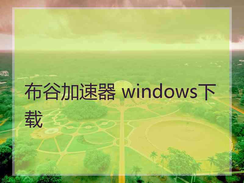 布谷加速器 windows下载