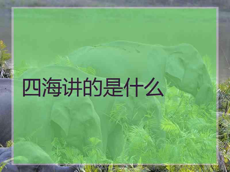 四海讲的是什么