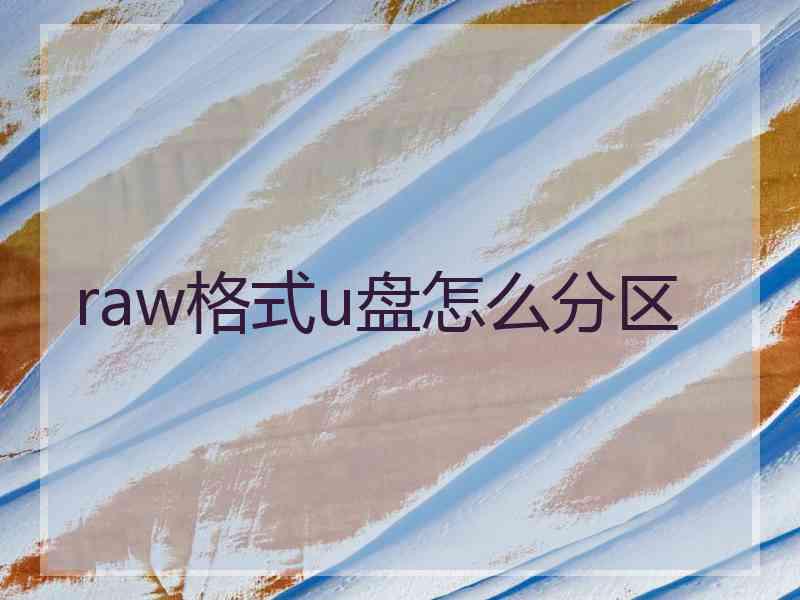 raw格式u盘怎么分区