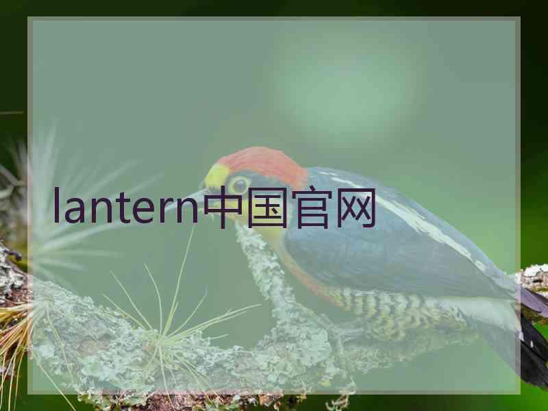 lantern中国官网