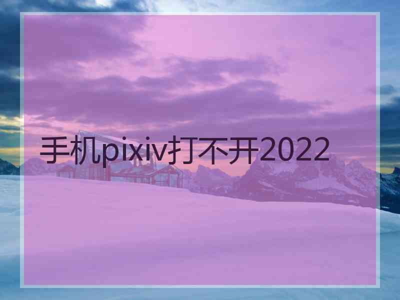 手机pixiv打不开2022