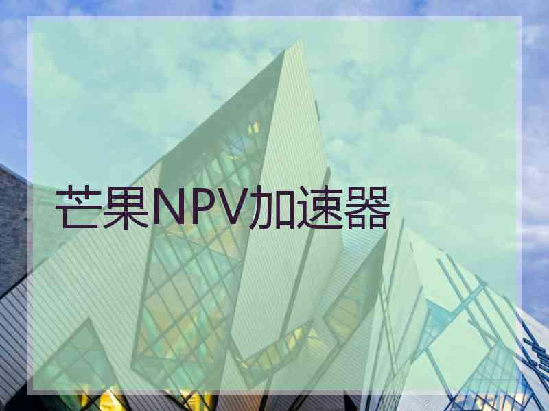 芒果NPV加速器