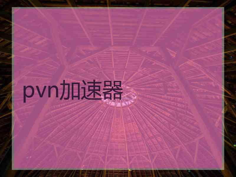 pvn加速器