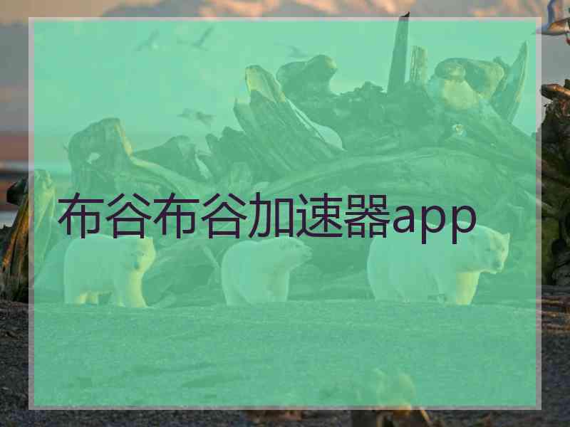 布谷布谷加速器app