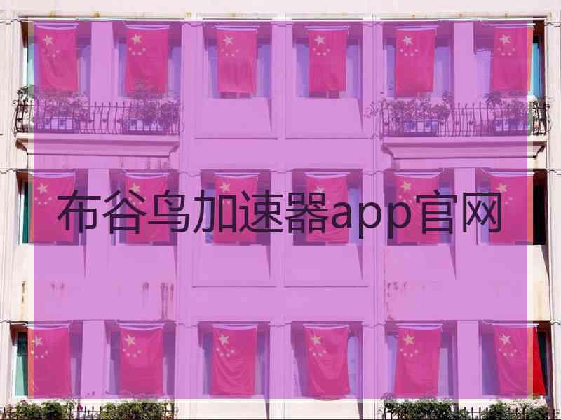 布谷鸟加速器app官网