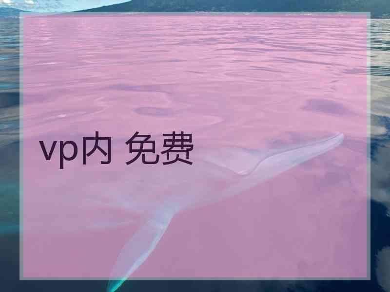 vp内 免费