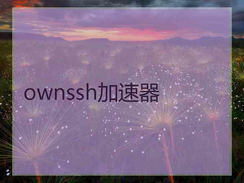 ownssh加速器