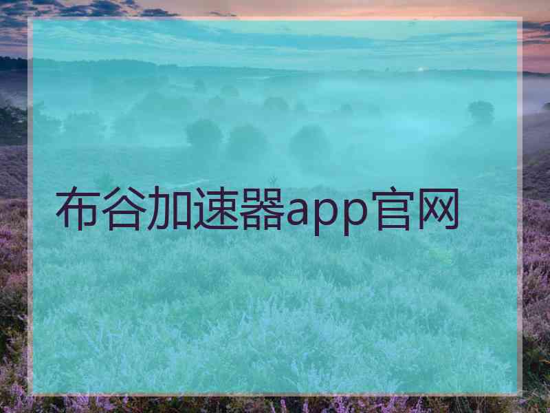 布谷加速器app官网