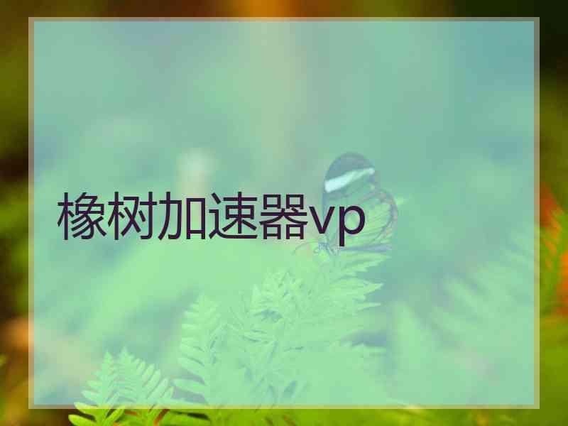 橡树加速器vp