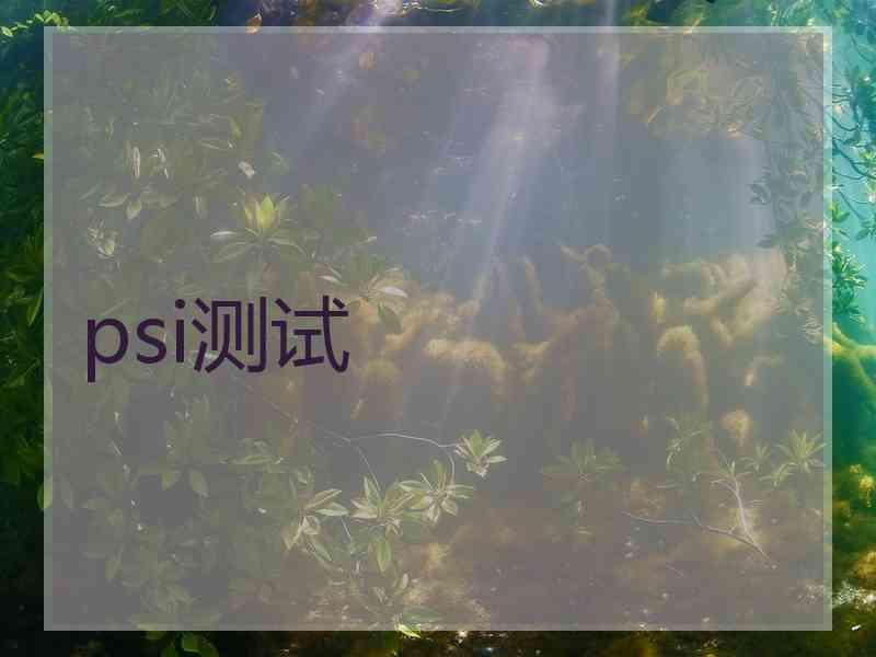 psi测试