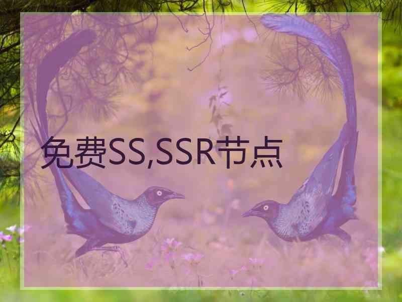 免费SS,SSR节点