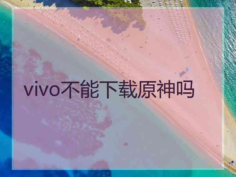 vivo不能下载原神吗