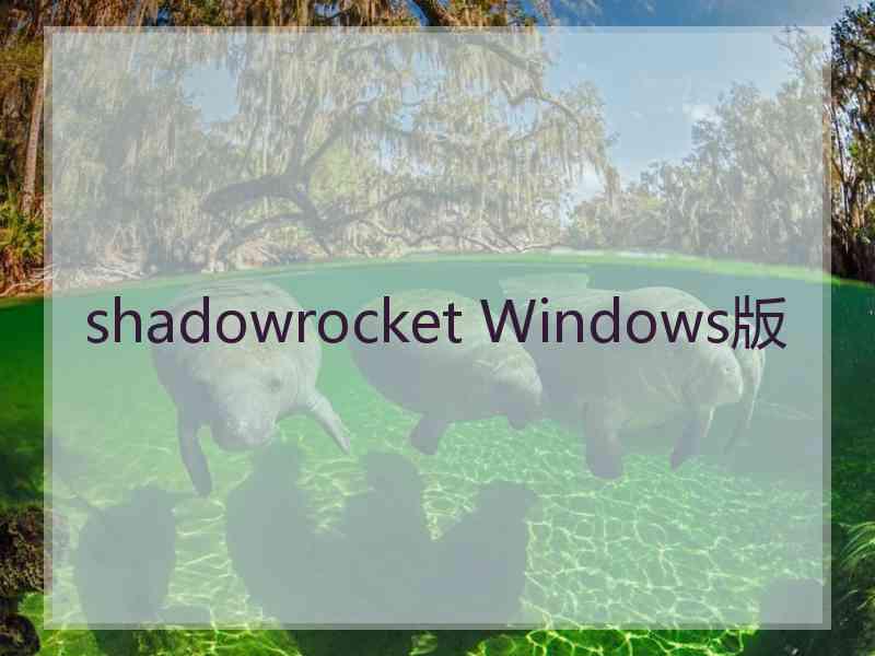 shadowrocket Windows版