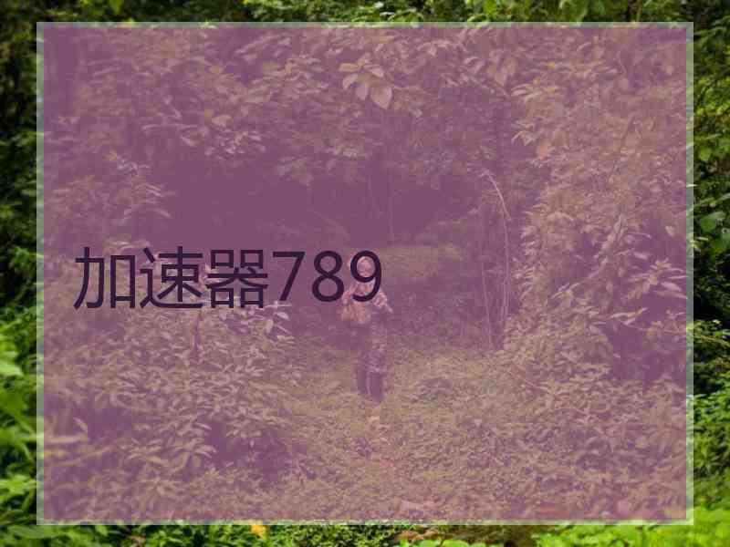 加速器789