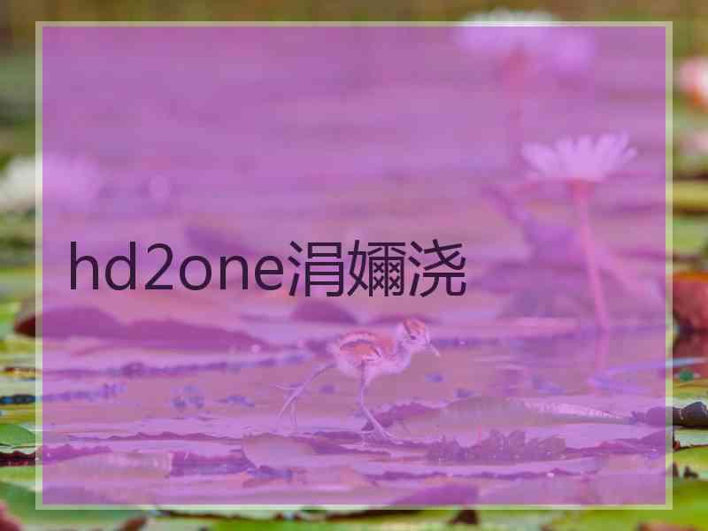 hd2one涓嬭浇