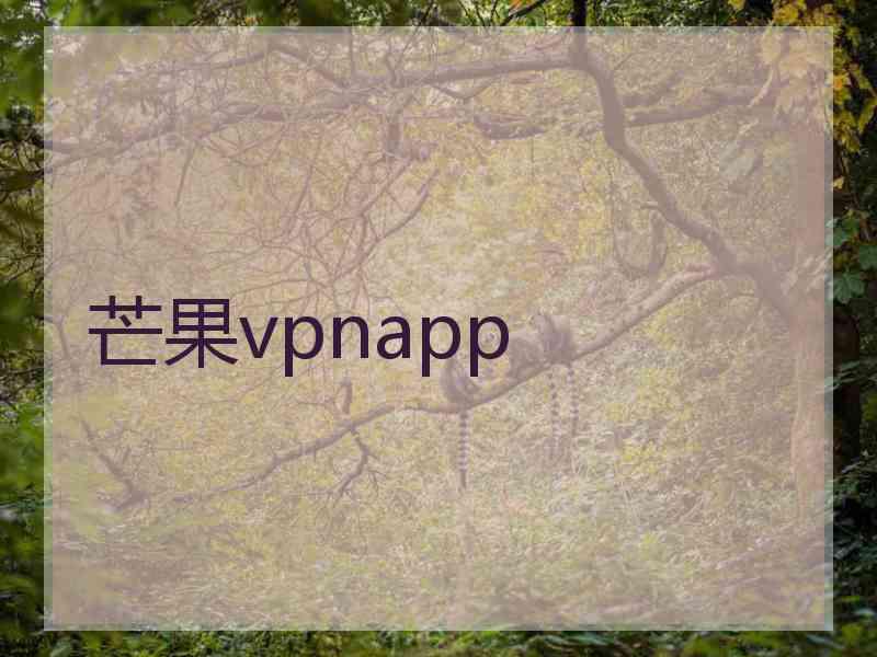 芒果vpnapp