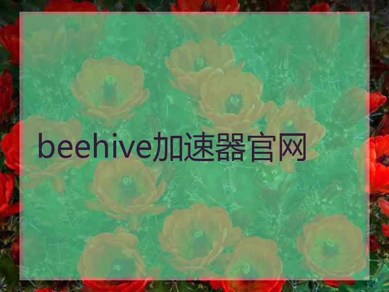 beehive加速器官网