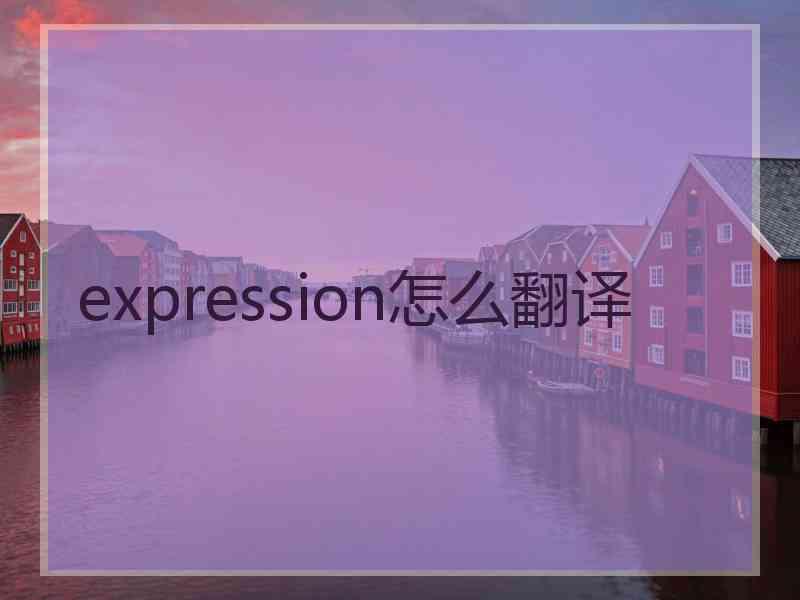 expression怎么翻译