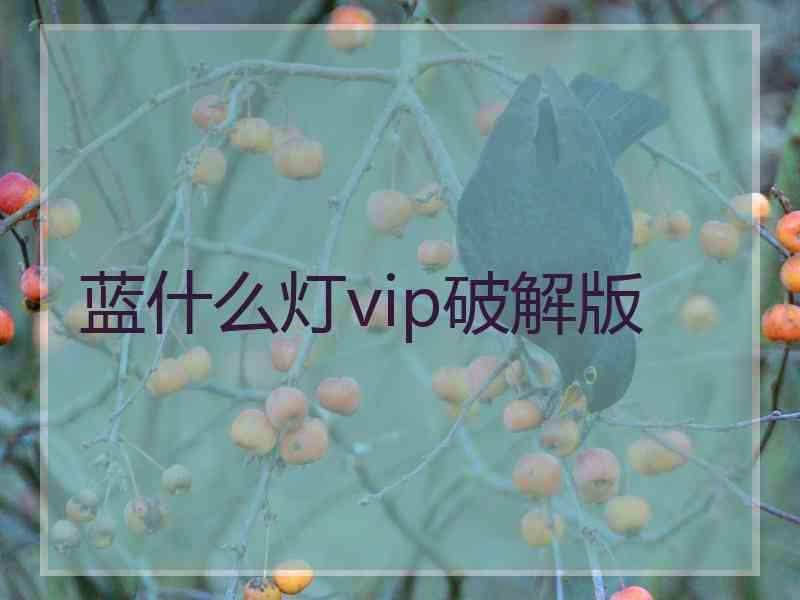 蓝什么灯vip破解版