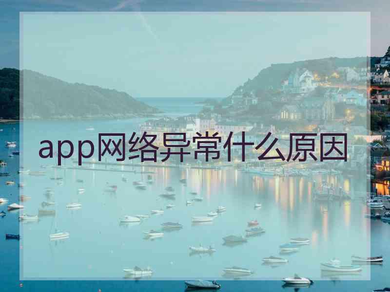 app网络异常什么原因